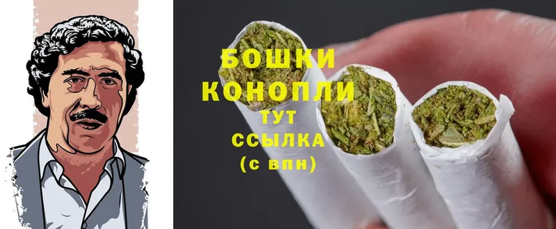 наркота  сайты даркнета клад  Бошки Шишки THC 21%  Скопин 